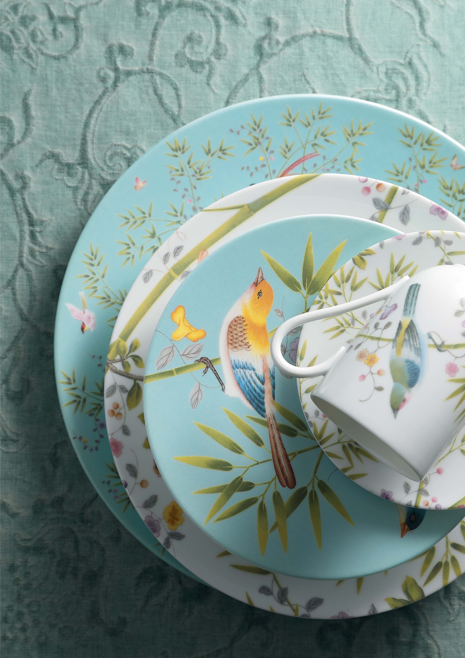 Raynaud, Paradis, Presentation plate