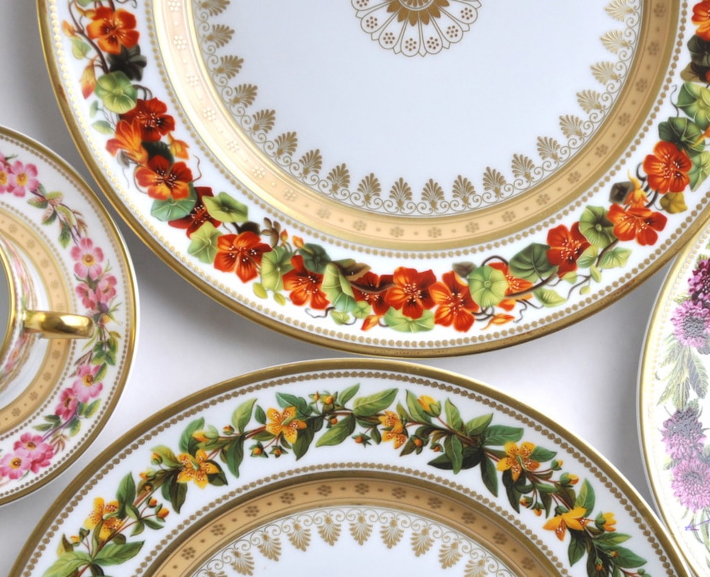 Bernardaud, Botanique, Tea cup and saucer
