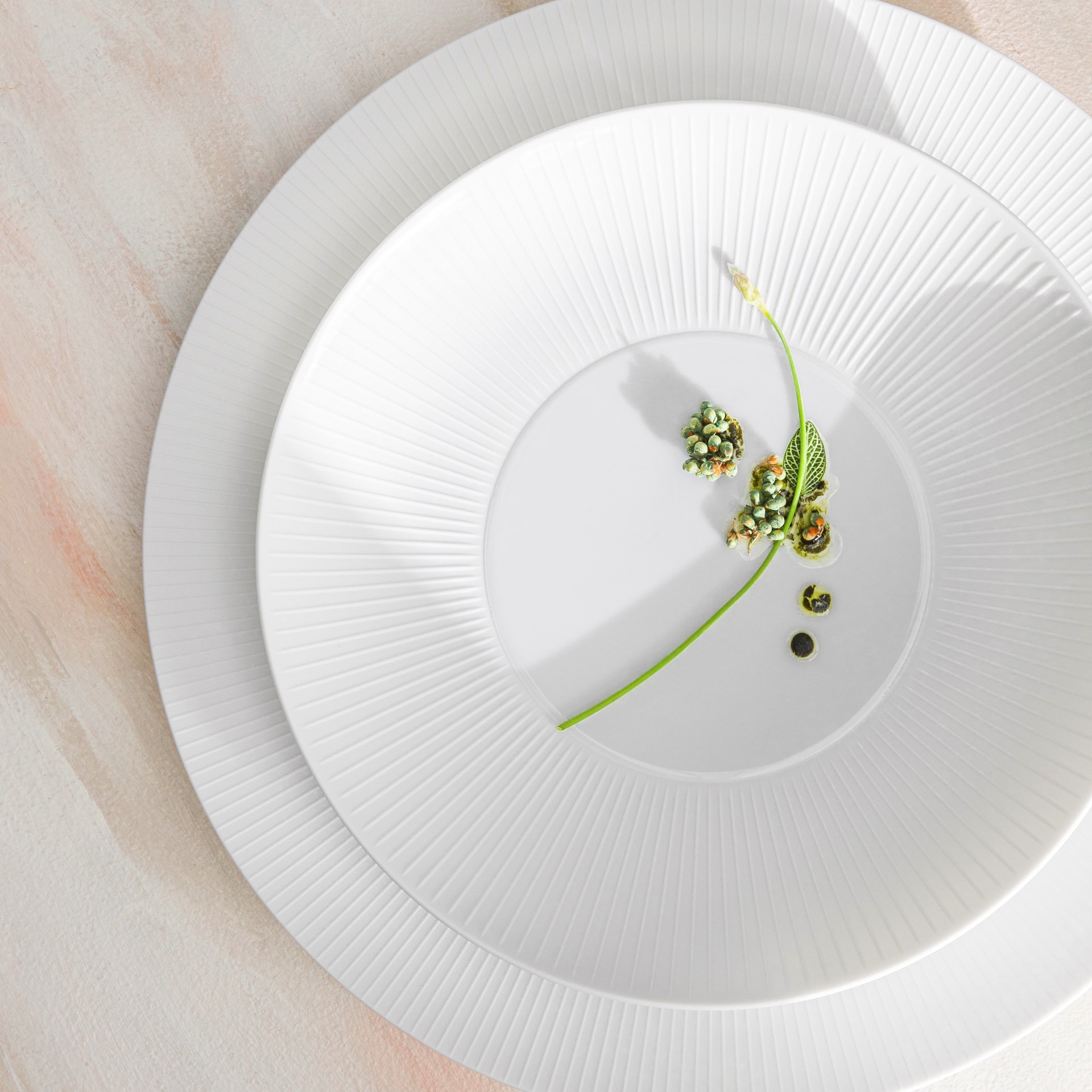 J.L Coquet, Bolero White Satin, Jdc rim soup plate